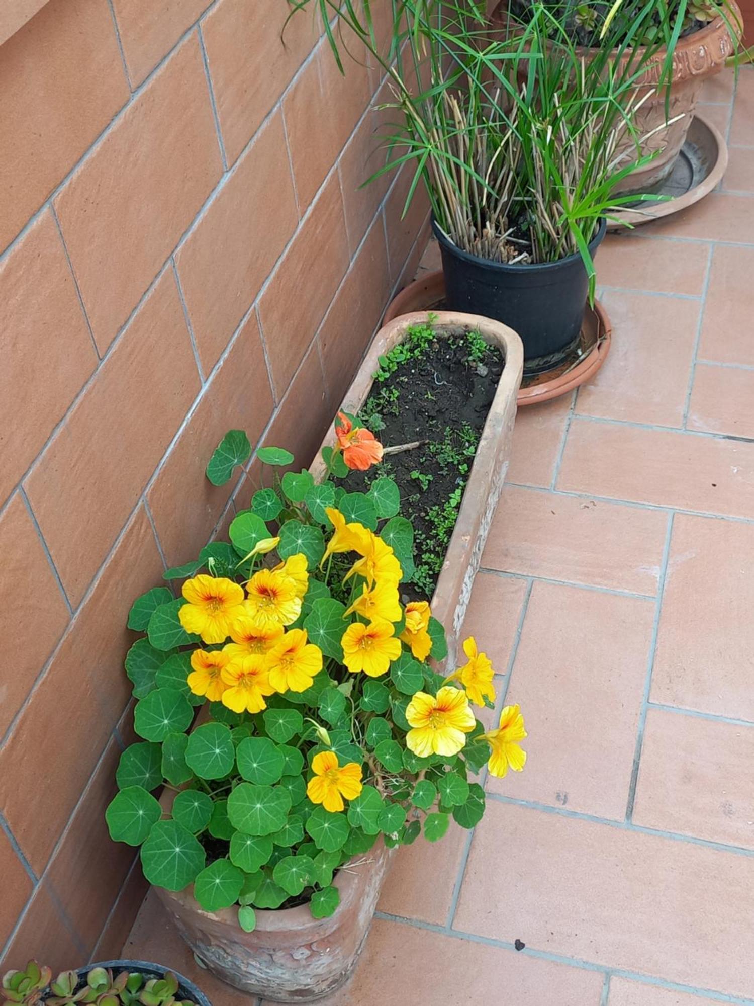Vient E Mare Apartment Torre Annunziata Luaran gambar