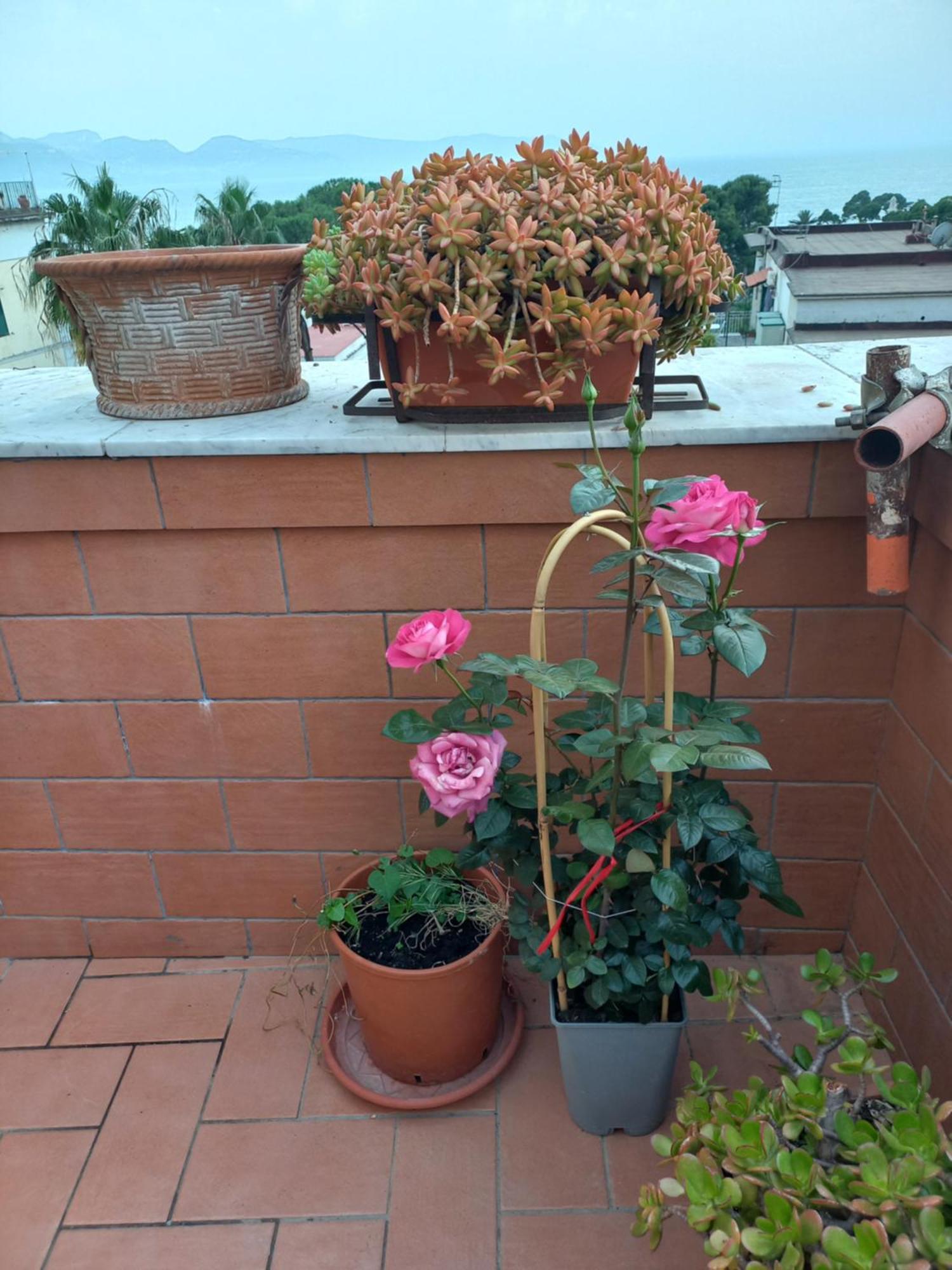 Vient E Mare Apartment Torre Annunziata Luaran gambar